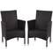 2 Piece Rattan Dining Chairs with Seat Cushions Steel Frame Patio Balcony